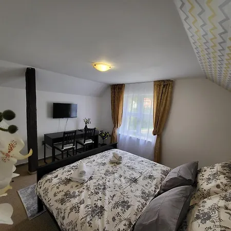 Vladni Guest house *